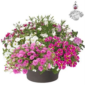 Bild von HP30 XXL Mix 16